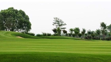 皮帶輸送機(jī)正常工作過程與托輥的優(yōu)點(diǎn)